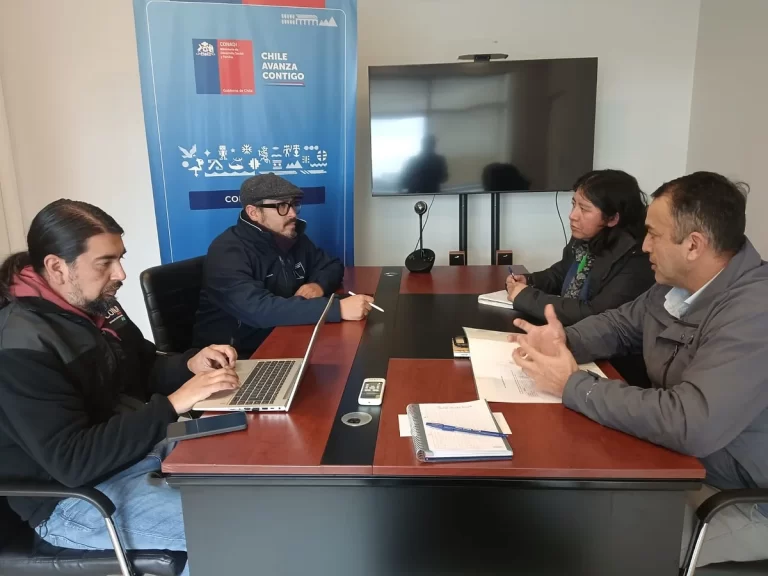 AUDIENCIA JUNTO A DIRECTOR NACIONAL DE CONADI