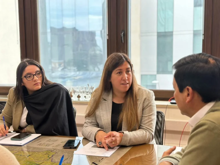 Reunión de Trabajo por Priorización de la Ruta S-31 para su ingreso a la Ley de Presupuesto 2027